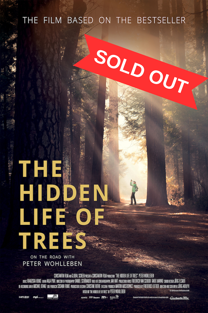 TREES SOLD OUT